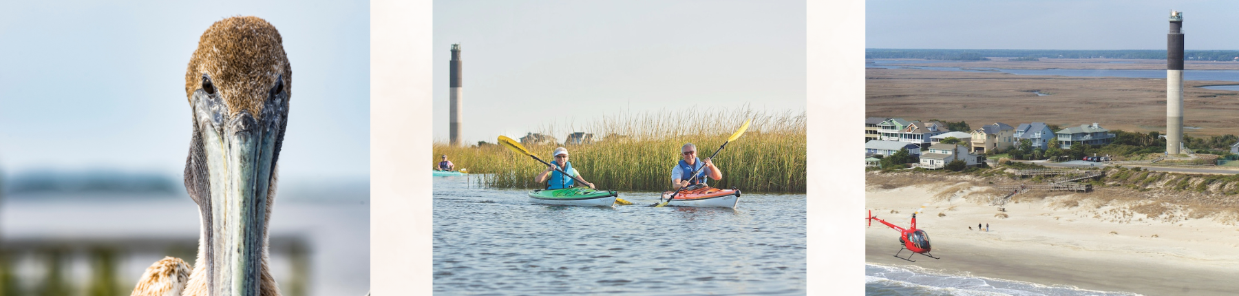 oak island nature