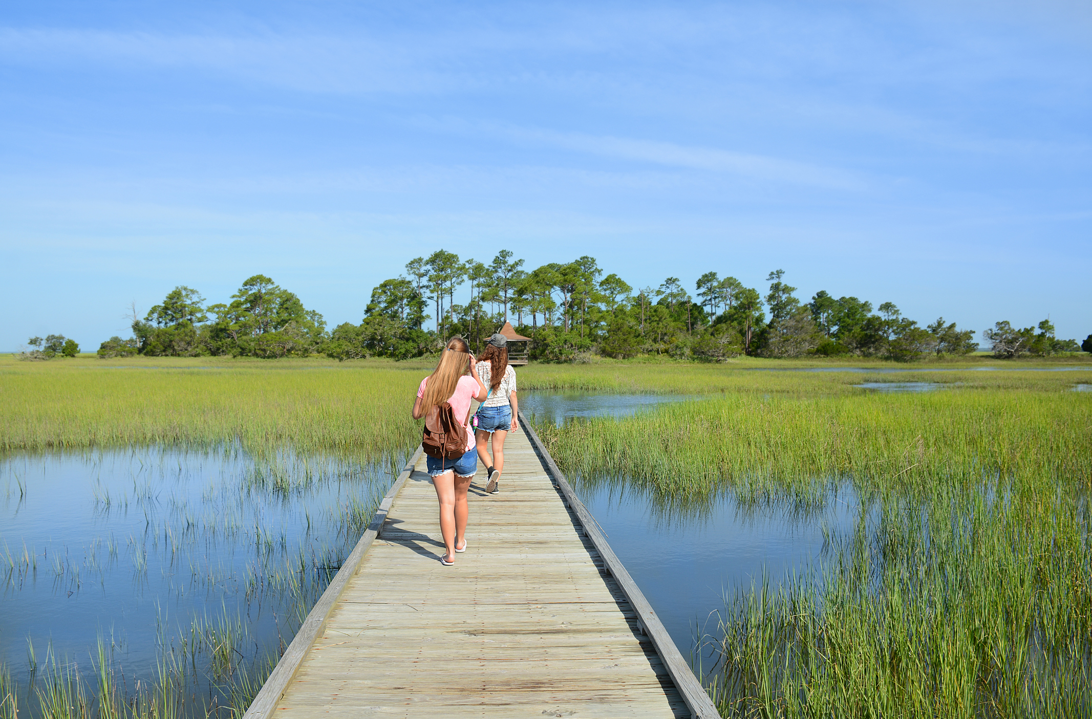 Two people walk out on a boardwalk in a nature viewing area