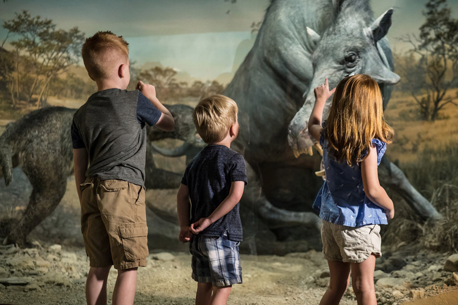 Three kids exploring a museum exhibit about animals
